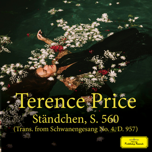 张瑞雪图片 比基尼
